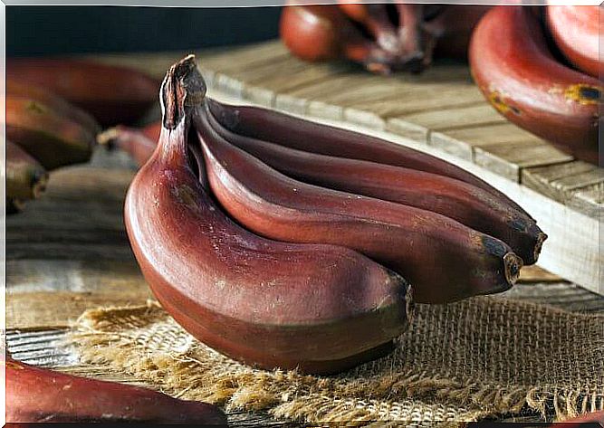 Ripe red bananas dessert