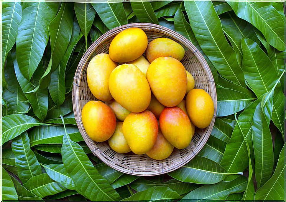 Mango contains important vitamins for skin health