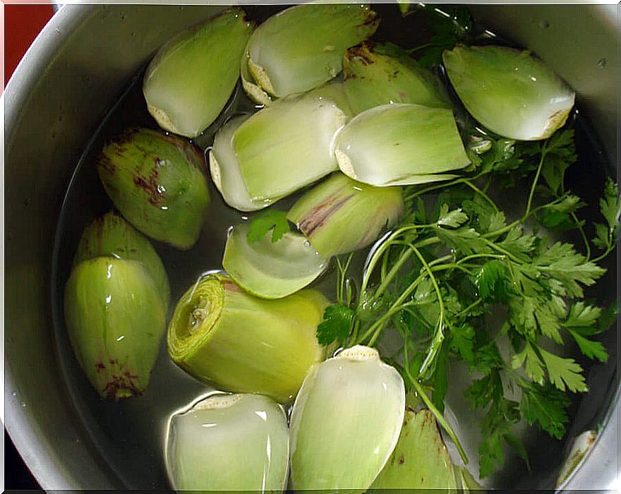 Antioxidant-artichoke