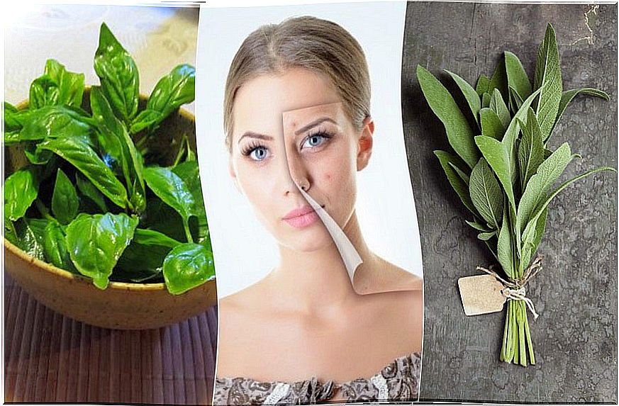 5 herbs that will help you fight acne