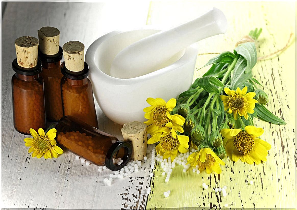 Arnica: benefits, uses and contraindications.