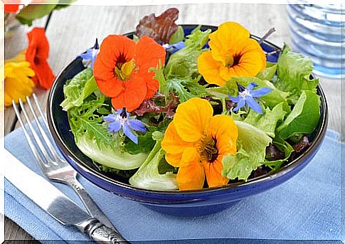 Salads with flowers, sprouts and seeds