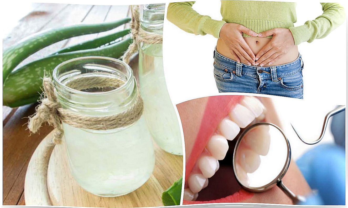 8 reasons to consume aloe vera juice and how to prepare it