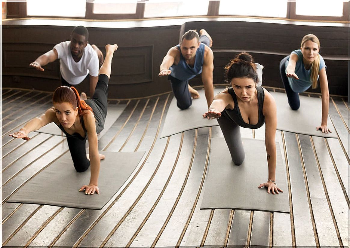 Group of people performs bird dog exercise.