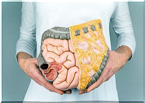 The colon is the longest part of the large intestine.