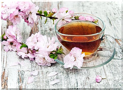 How to prepare cherry tea for fluid retention