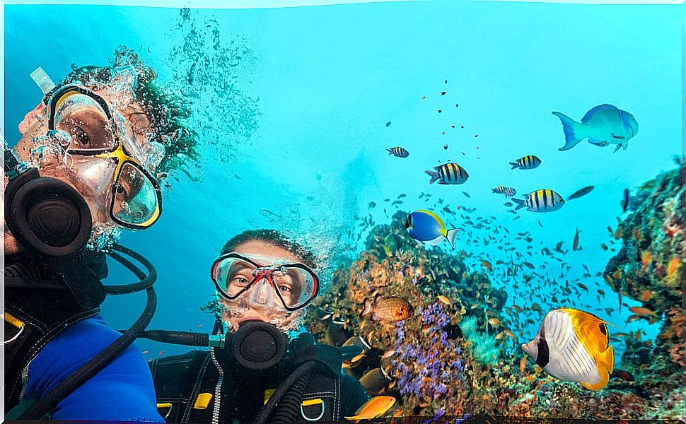 Couple doing scuba diving in the sea surrounded by colorful fish.