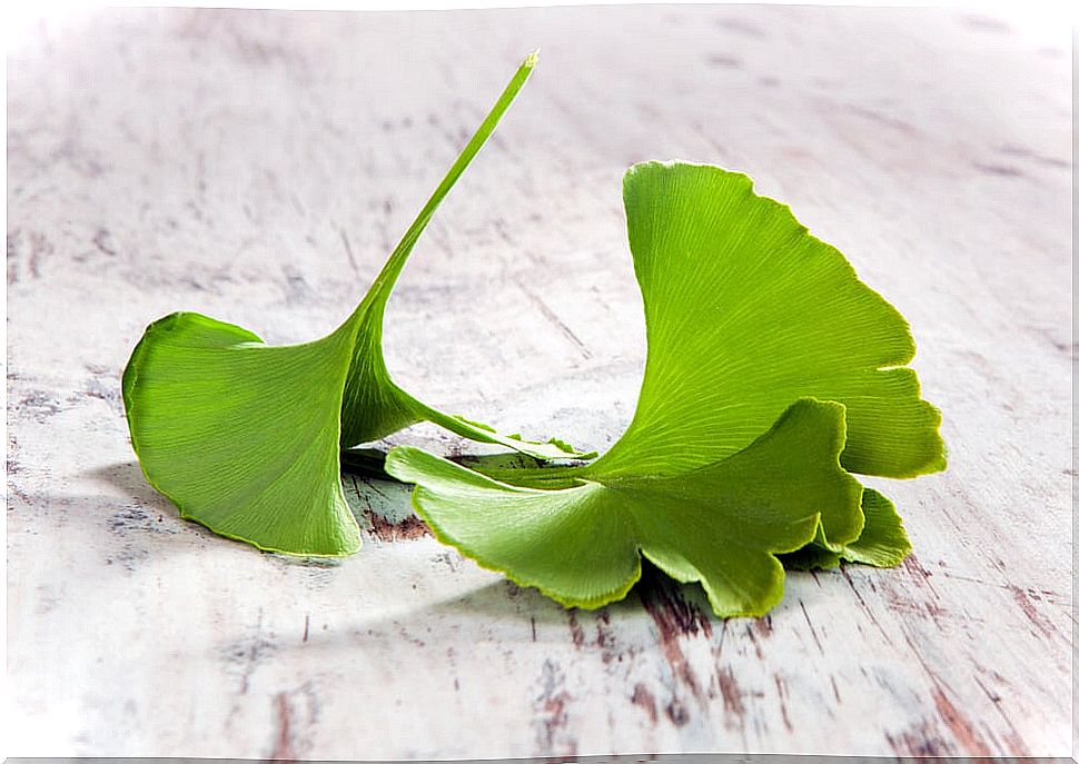 Home remedies with Ginkgo biloba