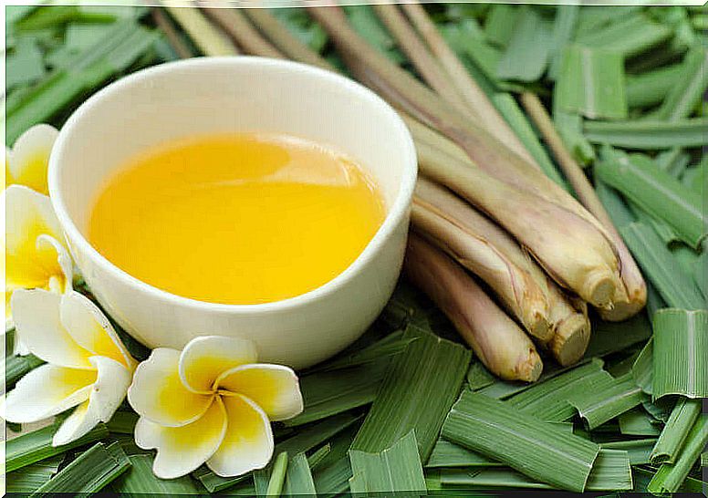 Bowl with citronella tea.