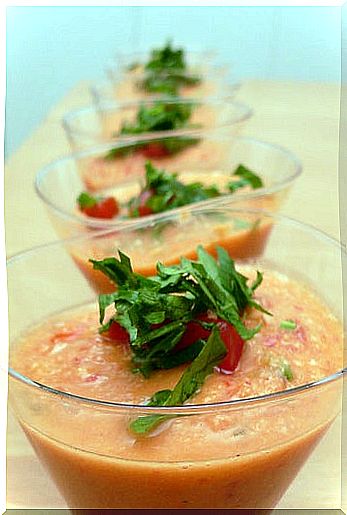 gazpacho-can-substitute-dinner-helps-to-lose weight