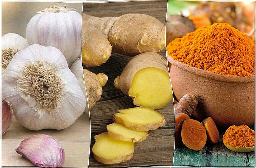 Natural antibiotics to fight mild infections