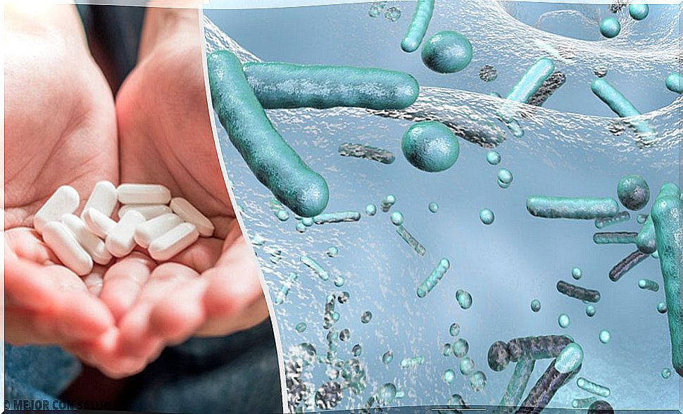 Natural antibiotics to fight mild infections