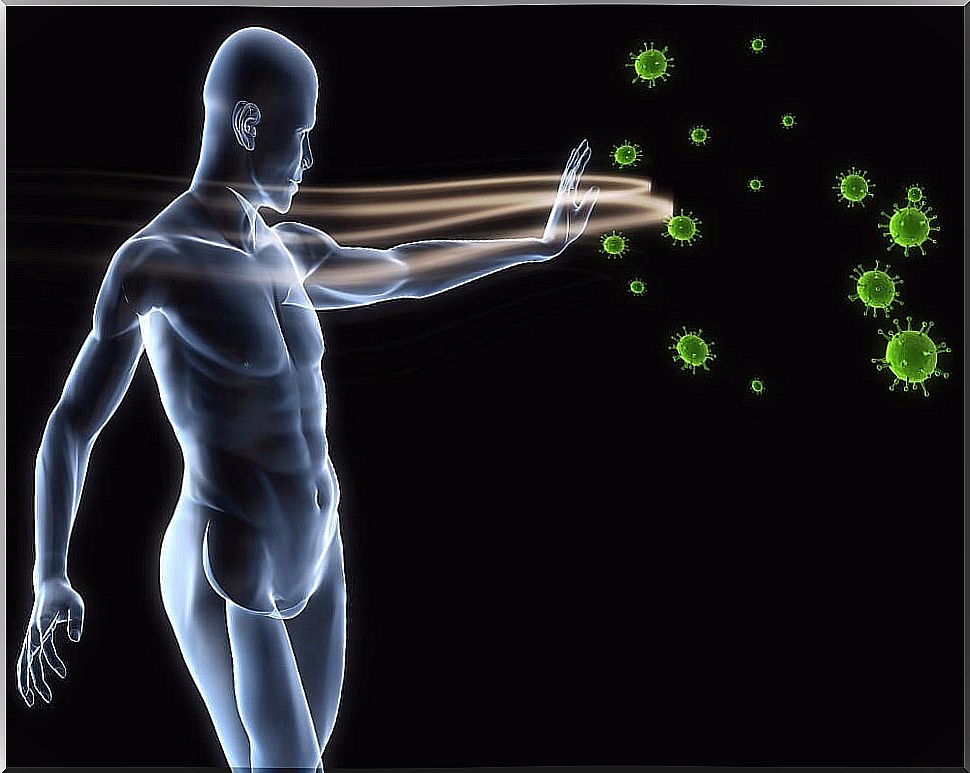 6 habits to boost the immune system