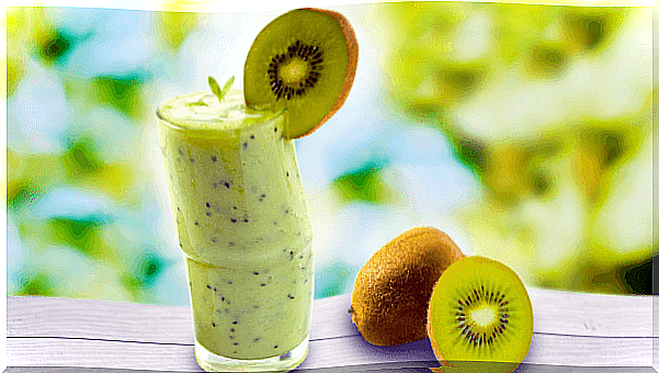 melon and kiwi smoothie