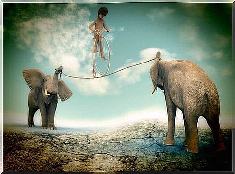 Child-balancing-on-rope-supported-by-two-elephants