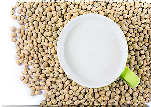 Nutrients and properties of soy lecithin