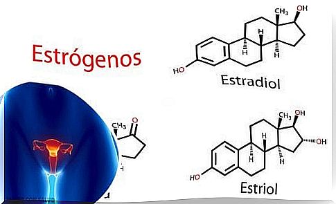 Estrogens