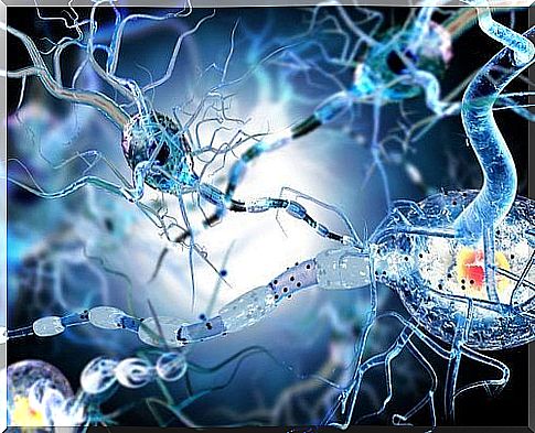 neurons epilepsy