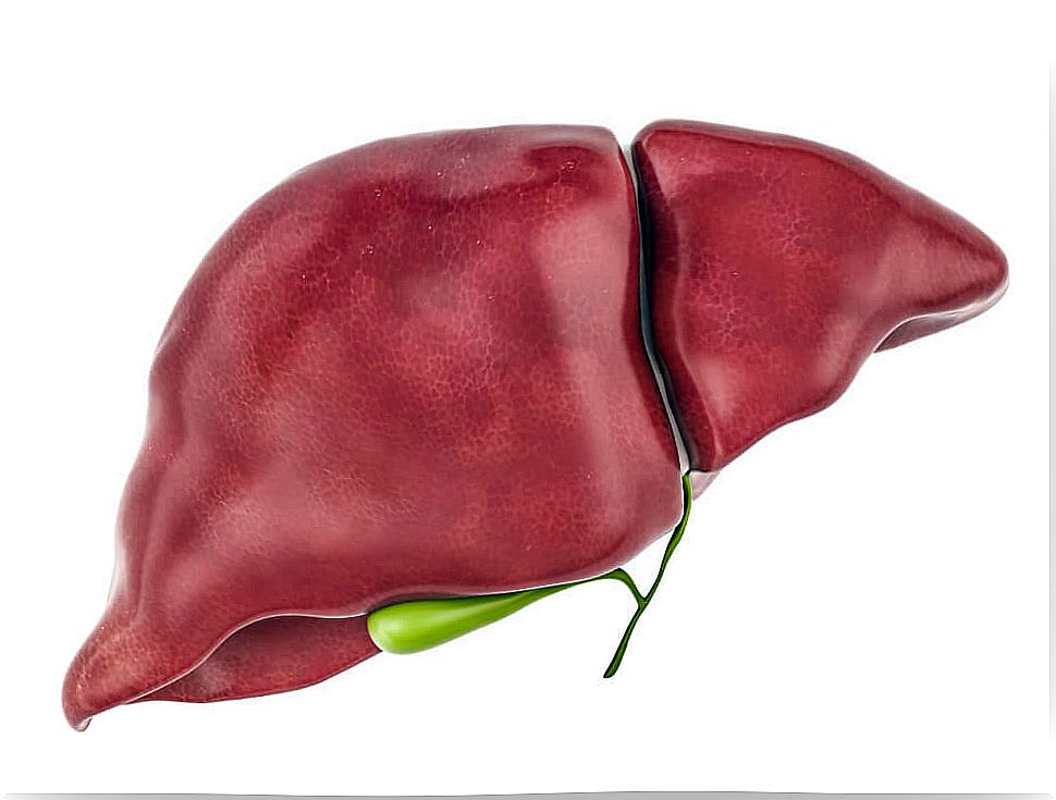 liver clears toxins