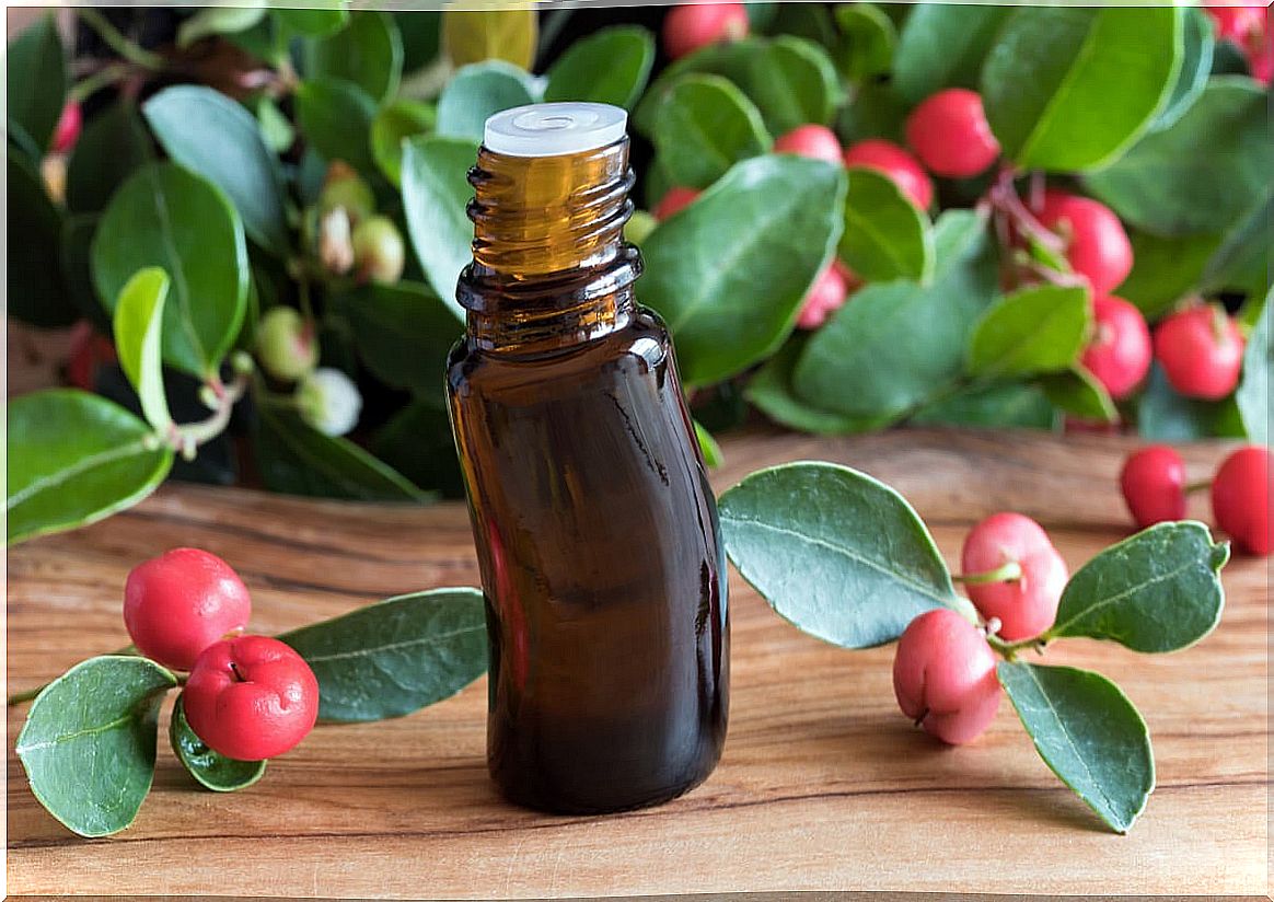 What is wintergreen essential oil and what uses does it have?