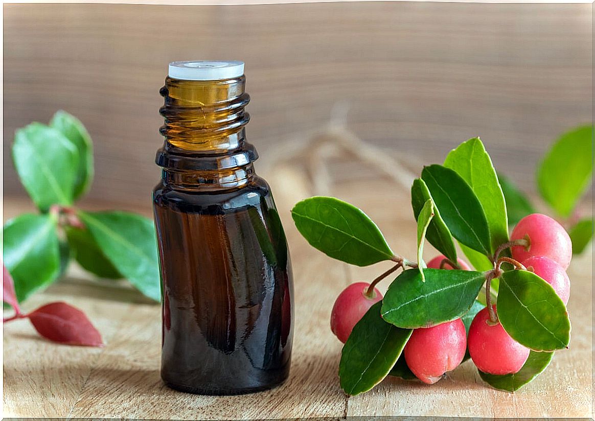 Wintergreen has methyl salicylate.