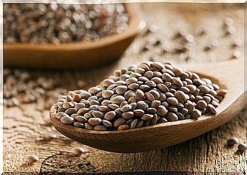 Raw lentils.